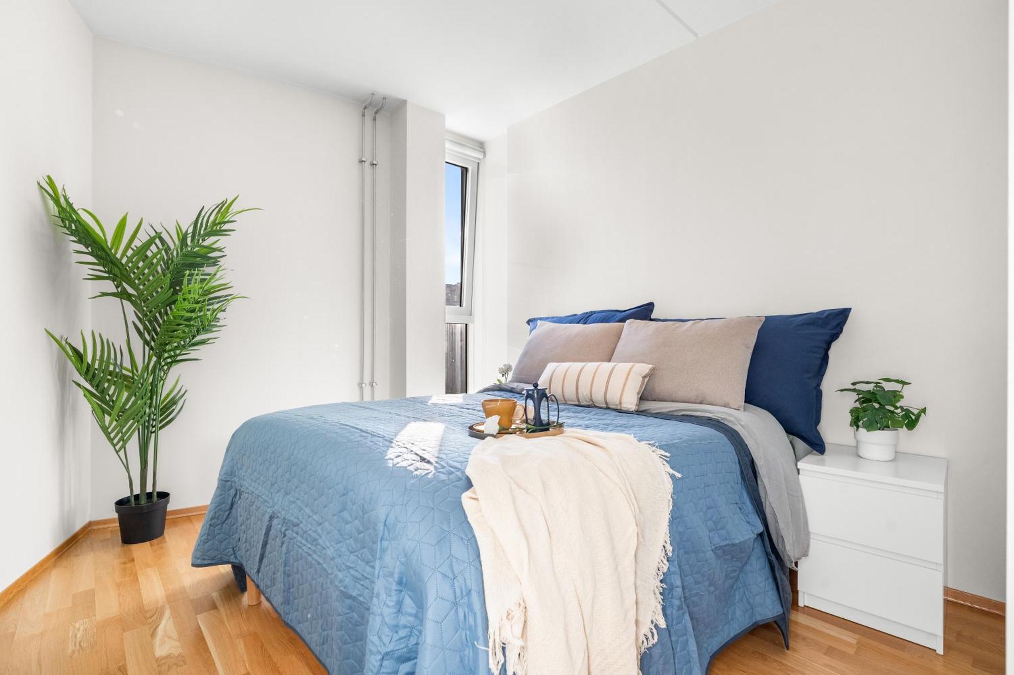 Top Floor With Balcony - Super Central - 5 Pax Oslo Exteriör bild